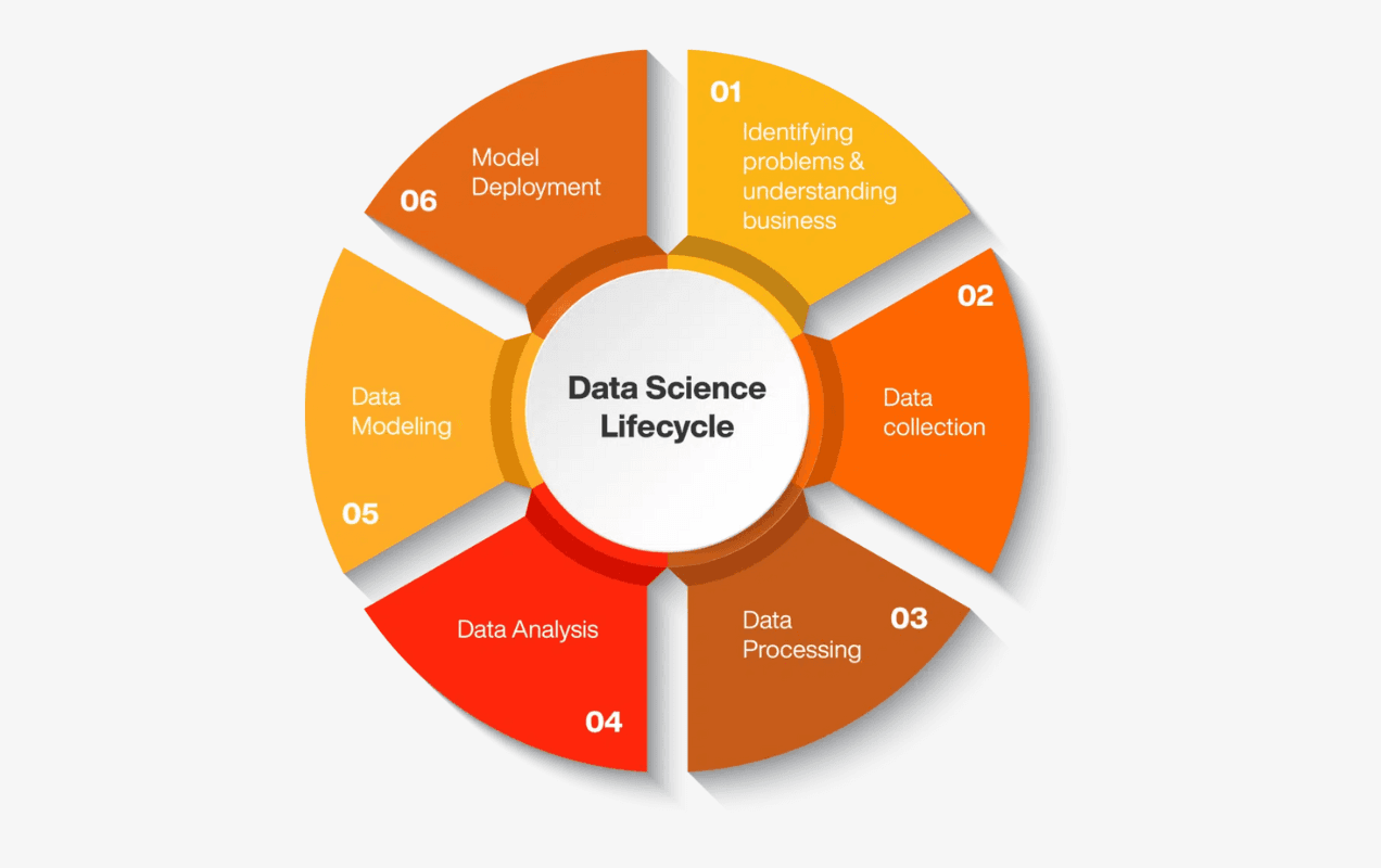 Data Science Lifecycle